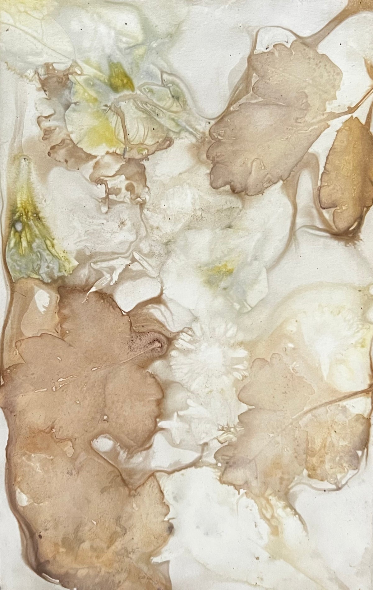 Ecoprinting Explorations On Paper