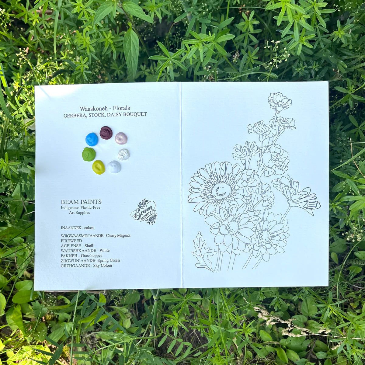 Beam Paintable Cards (With Paint!)