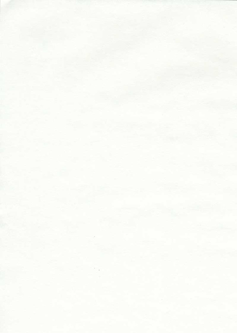 Tomoe River Paper