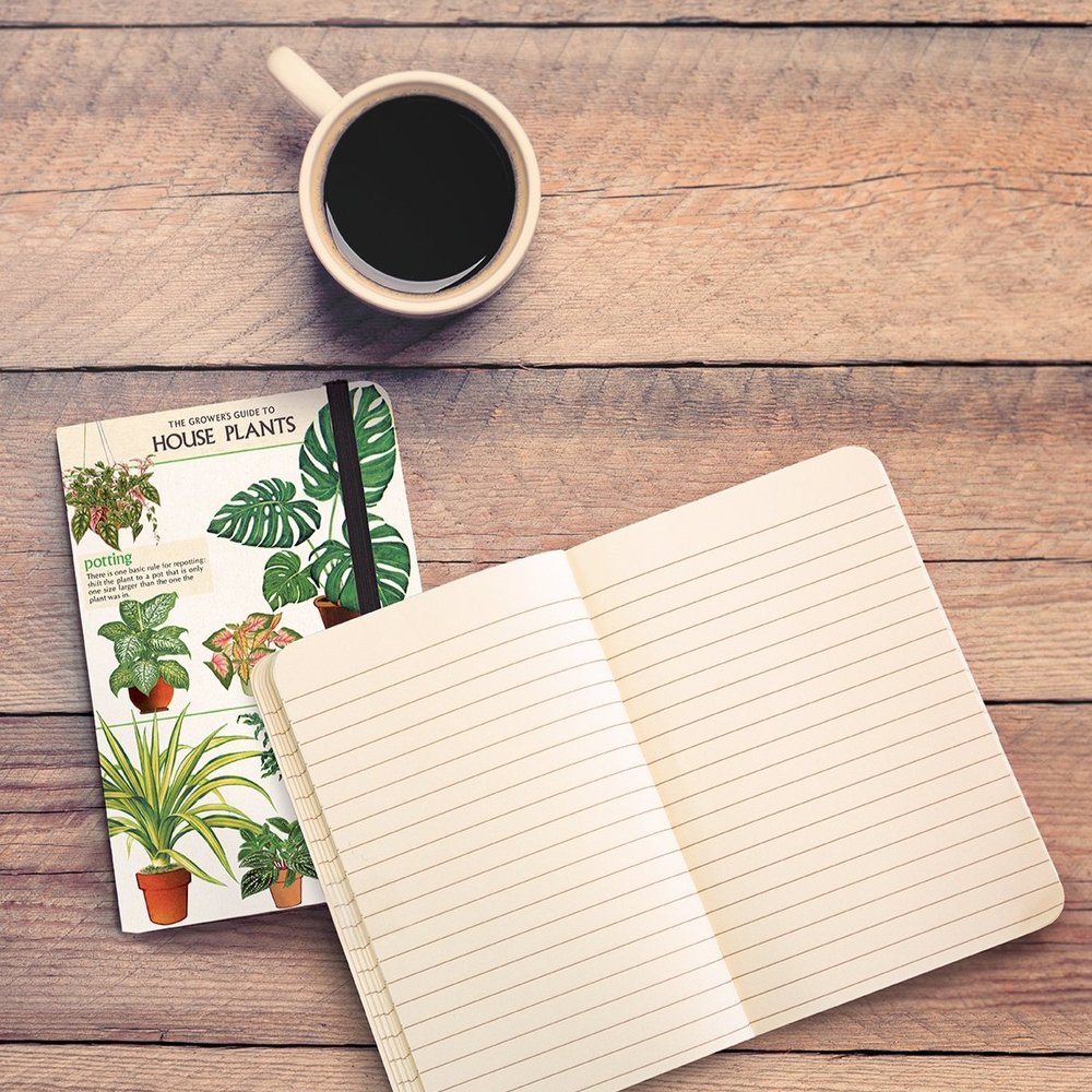 Paper Collections & Products in Guelph, ON | Wyndham Art Supplies