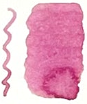 Octopus Write and Draw Ink 50ml