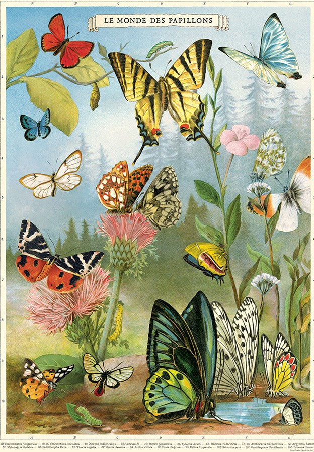 Cavallini Vintage Posters