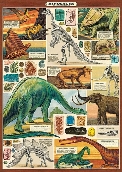 Cavallini Vintage Posters
