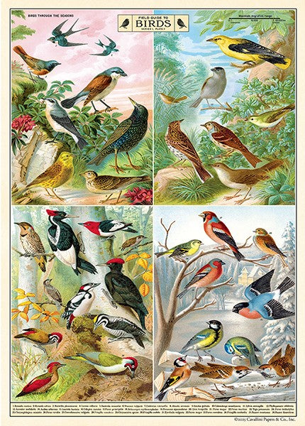 Cavallini Vintage Posters