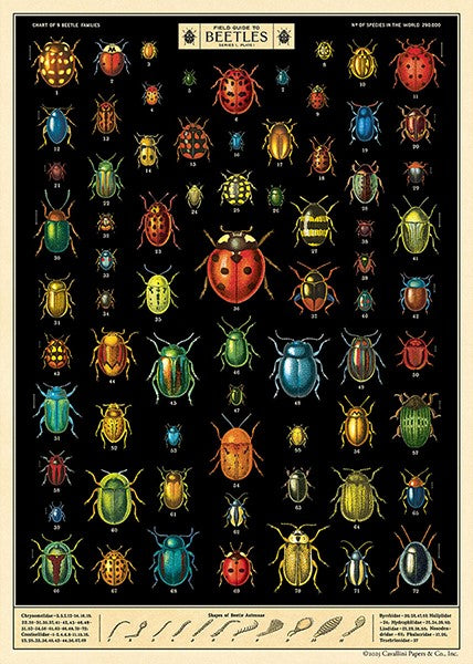 Cavallini Vintage Posters