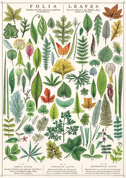 Cavallini Vintage Posters