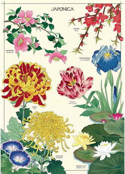 Cavallini Vintage Posters