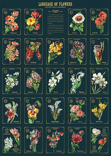 Cavallini Vintage Posters