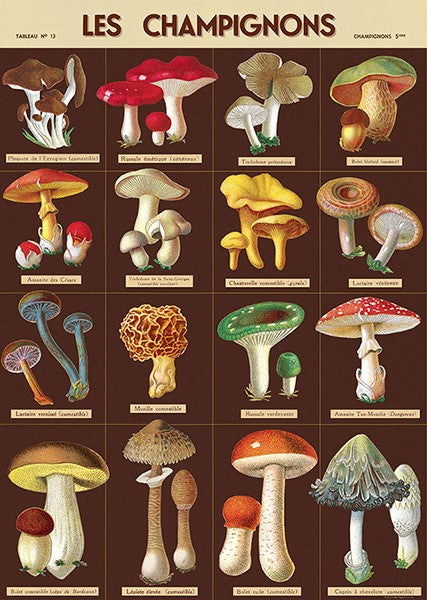 Cavallini Vintage Posters