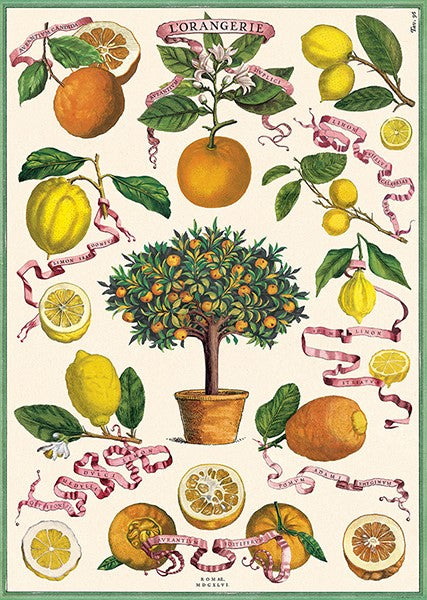 Cavallini Vintage Posters