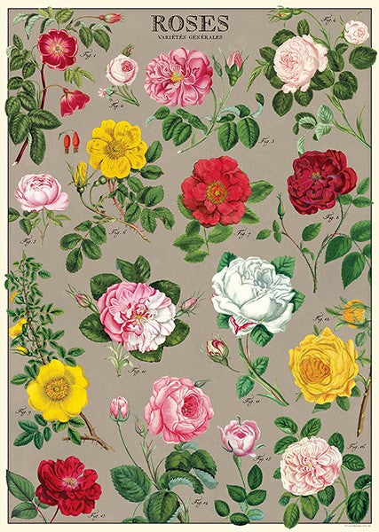 Cavallini Vintage Posters