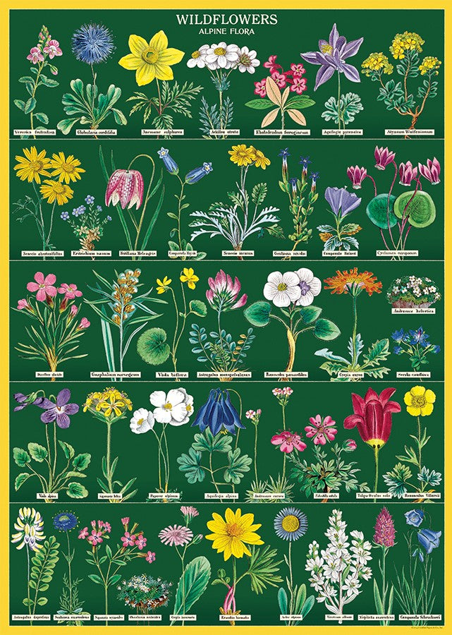 Cavallini Vintage Posters