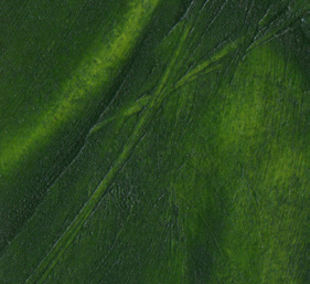 R&F Pigment Sticks 38mL - Wyndham Art Supplies