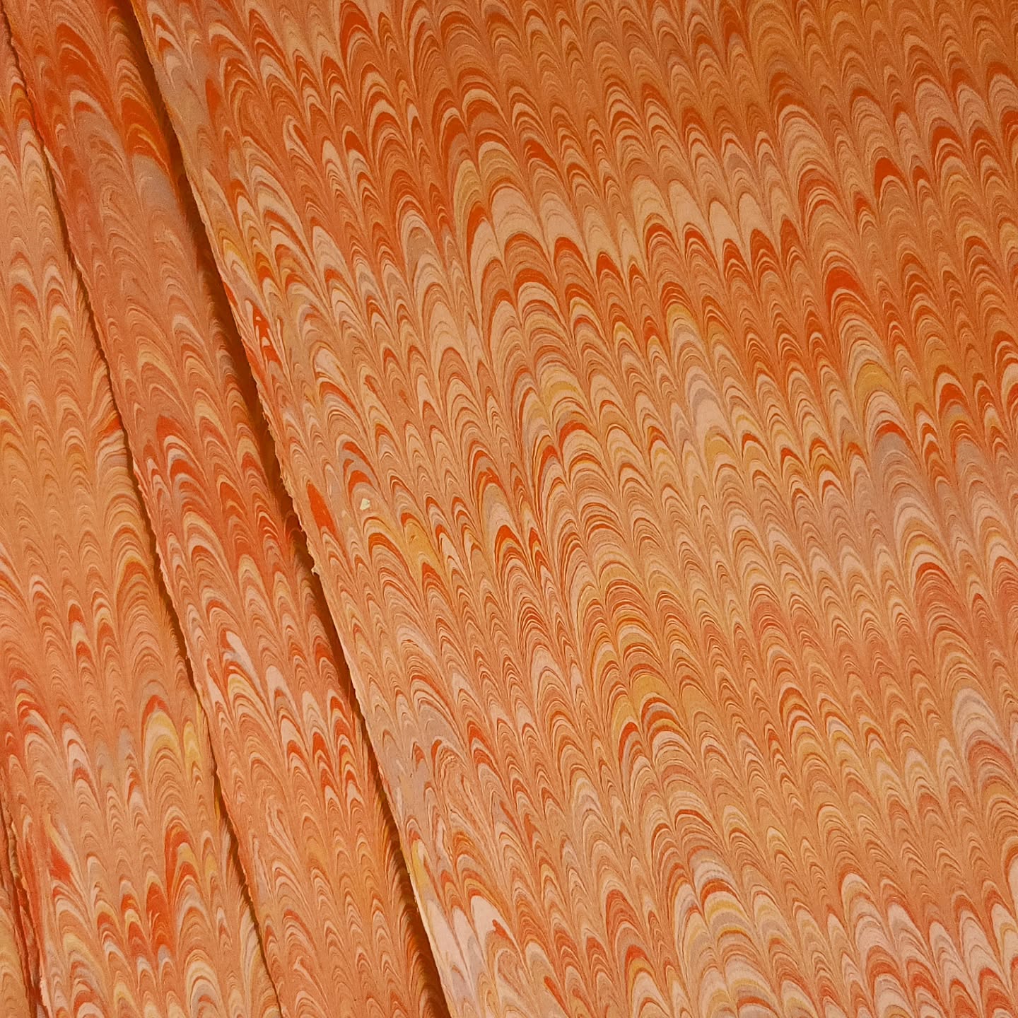 Feuilles Marbled Paper Sheets 20" × 26"