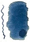 Octopus Write and Draw Ink 50ml