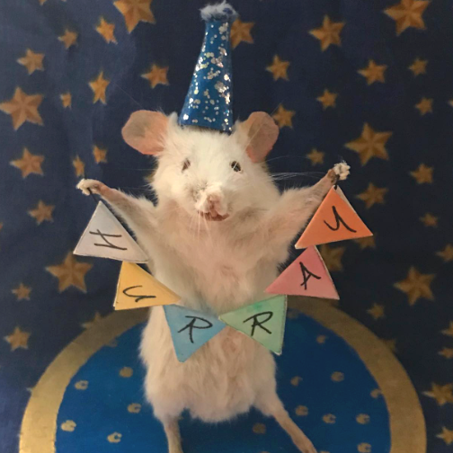 GSA Taxidermy