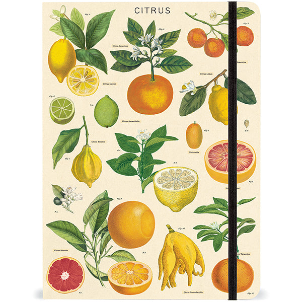 Cavallini Elastic Closure Notebooks - Wyndham Art Supplies