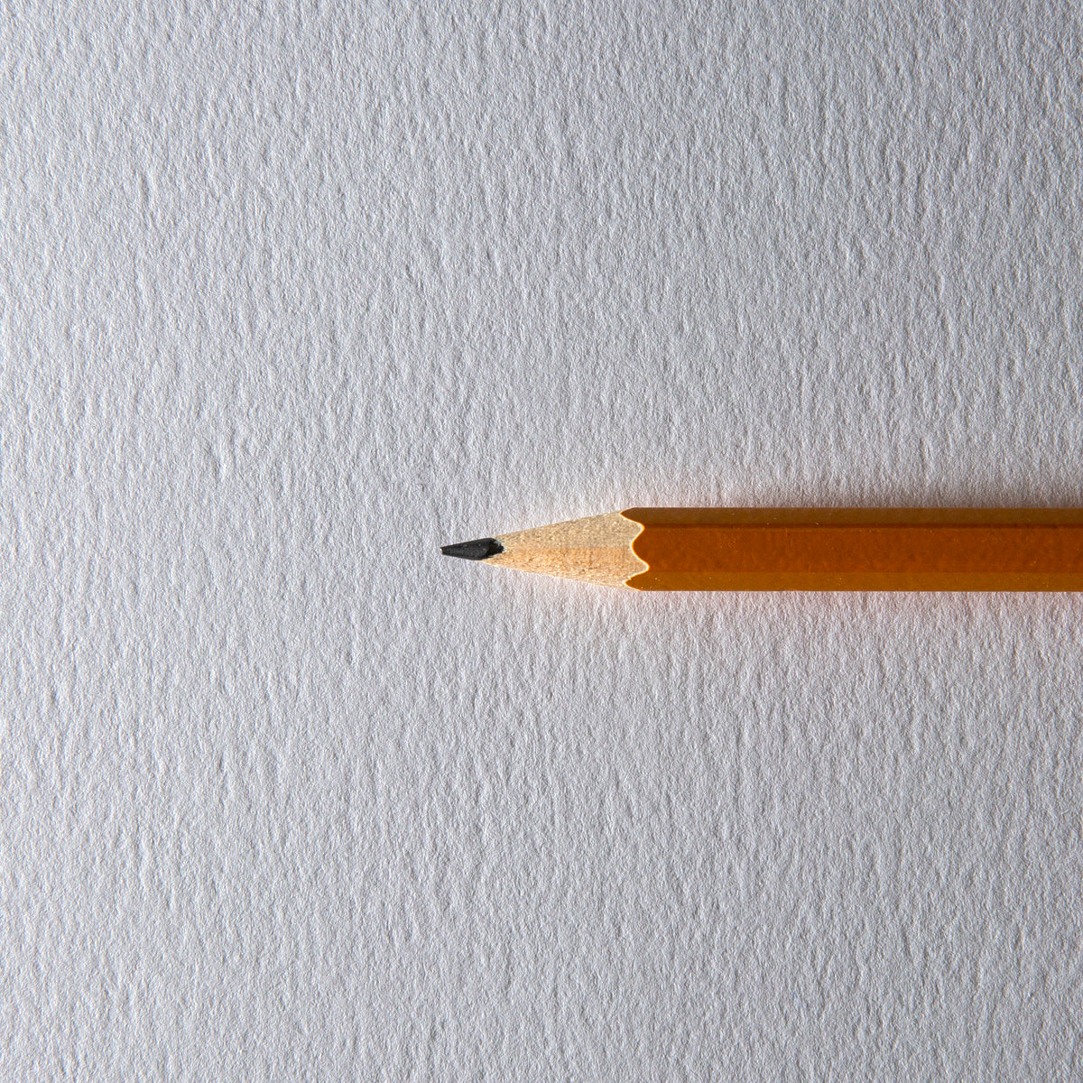 SMLT Painting Pads
