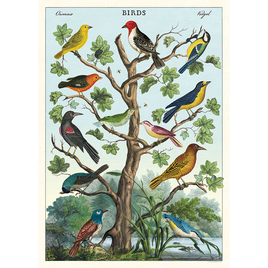 Cavallini Vintage Posters