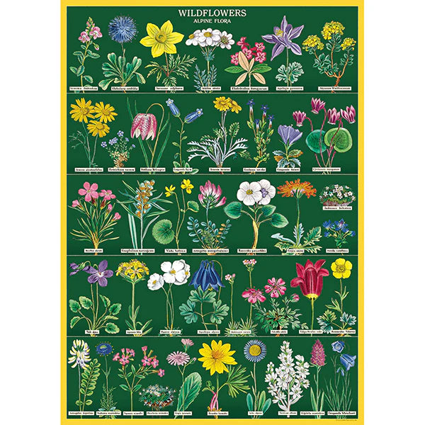 Cavallini Vintage Posters