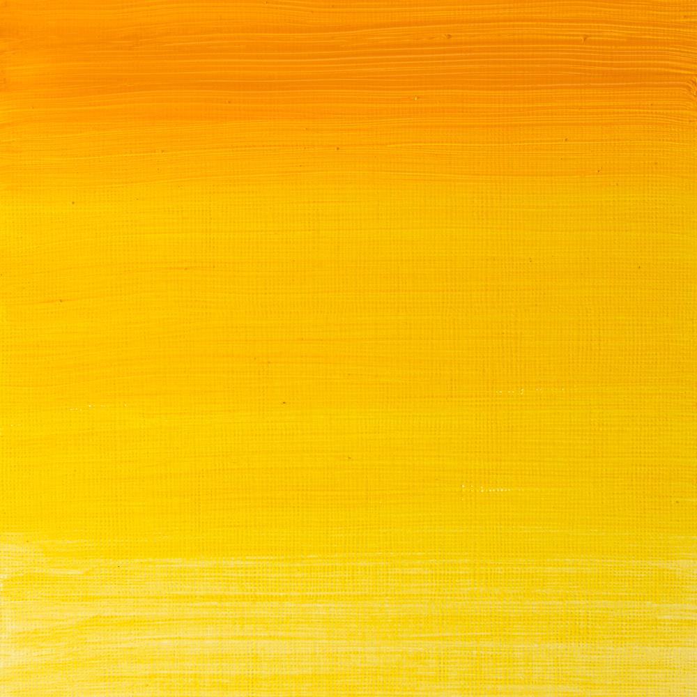 Winsor & Newton Griffin Alkyd Oil Paint - Wyndham Art Supplies