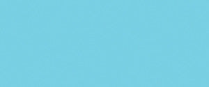 Holbein Oil Pastels - Wyndham Art Supplies