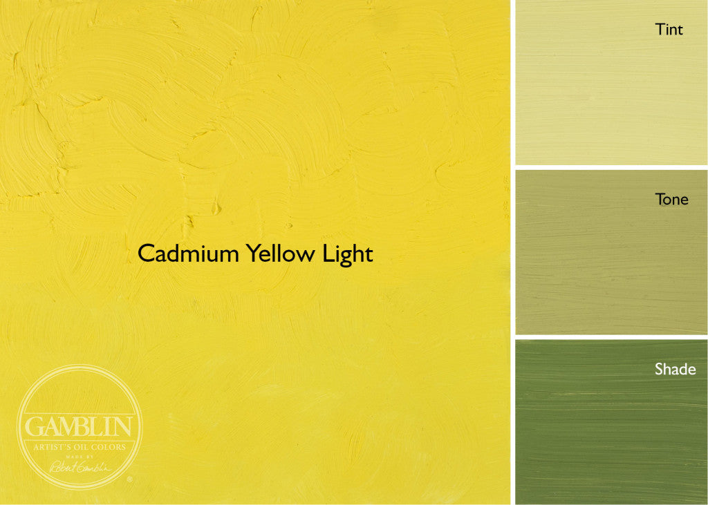 Gamblin Artist Oil Colour 150ml - Wyndham Art Supplies