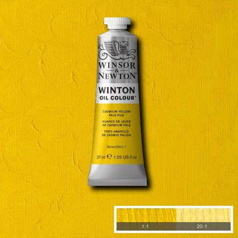 Winsor & Newton Winton Oil Paints - Wyndham Art Supplies