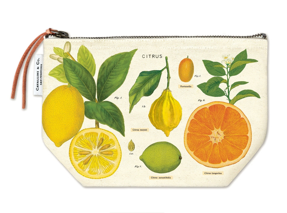 Cavallini Pouches