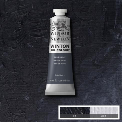 Winsor & Newton Winton Oil Paints - Wyndham Art Supplies