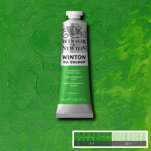 Winsor & Newton Winton Oil Paints - Wyndham Art Supplies