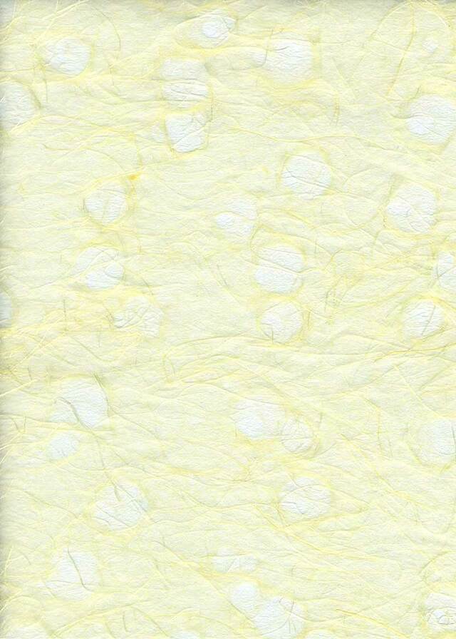 Tama Tissue