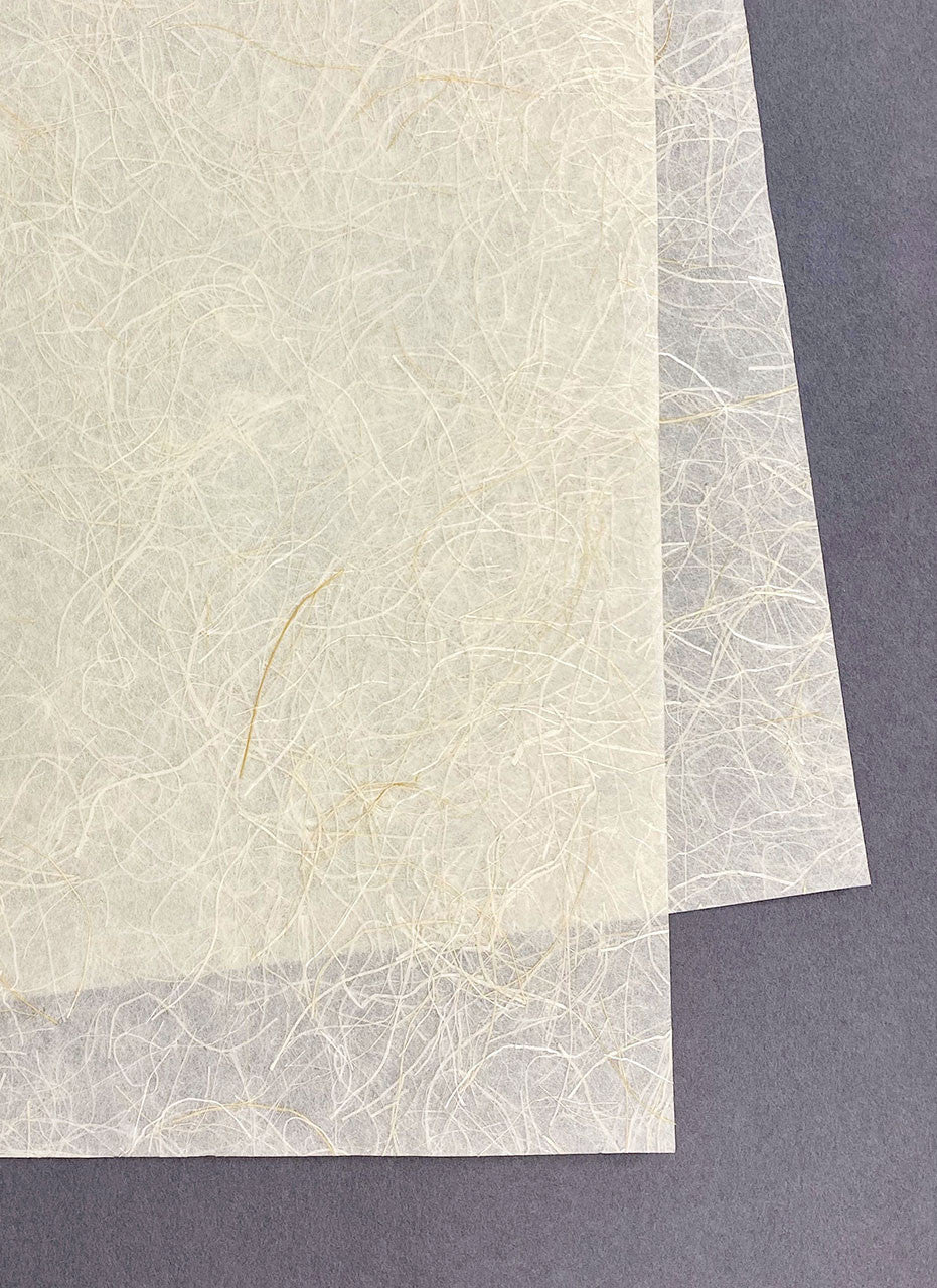 Ginwashi Tissue