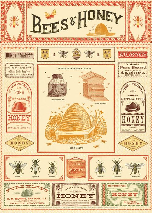 Cavallini Vintage Posters