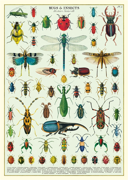 Cavallini Vintage Posters