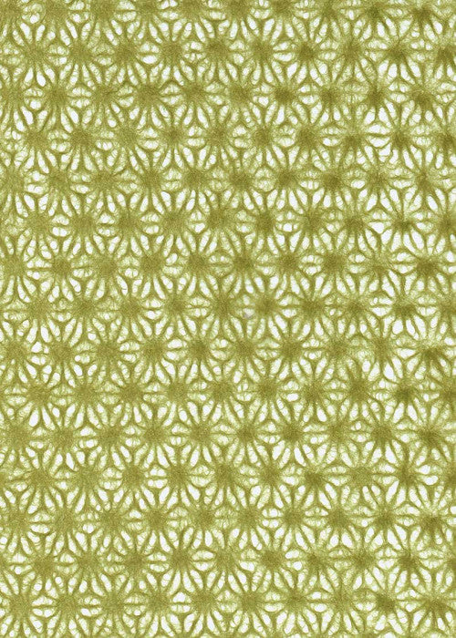 Hemp Flower Tissue