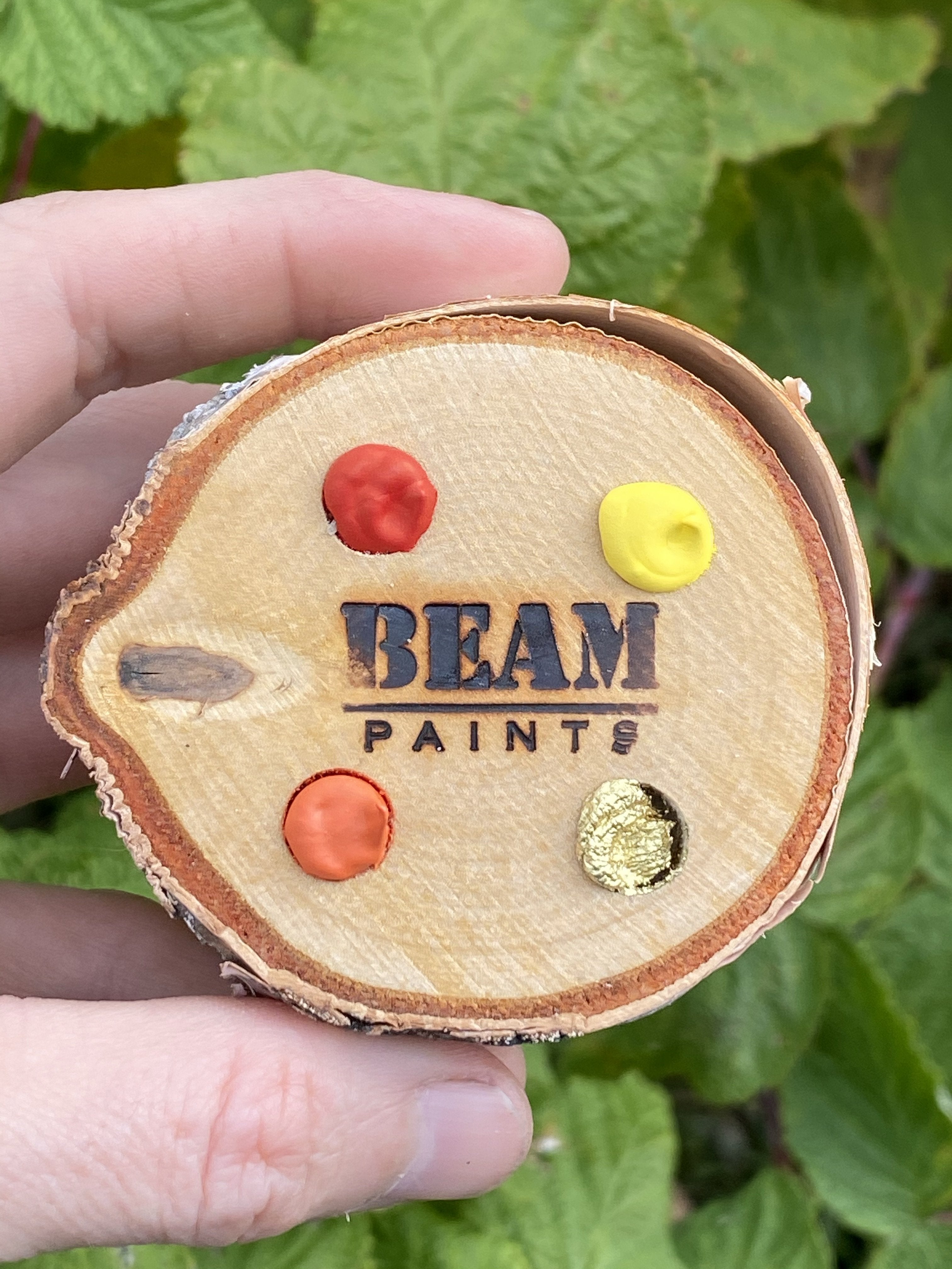 Beam Birch Eagle Colours